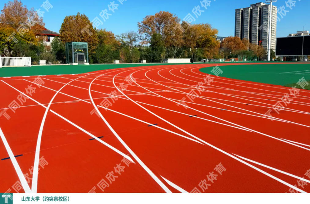 20251219095616_12579 GOPAYÇ®°ü¹Ù·½ÍøÕ¾ - °²È«±ã½ÝµÄÊý×ÖÇ®°üÓëÒÆ¶¯Ö§¸¶Æ½Ì¨