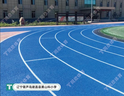 17648352730_723070001764835273-500x386-cut