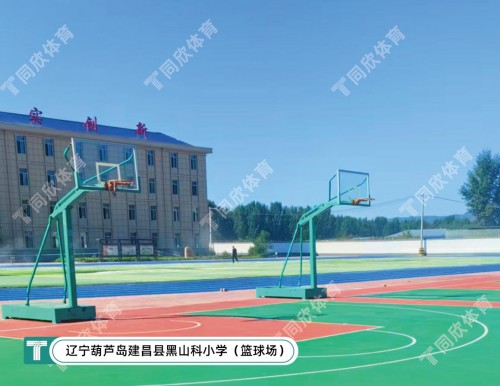 17648359730_462696001764835973-500x386-cut