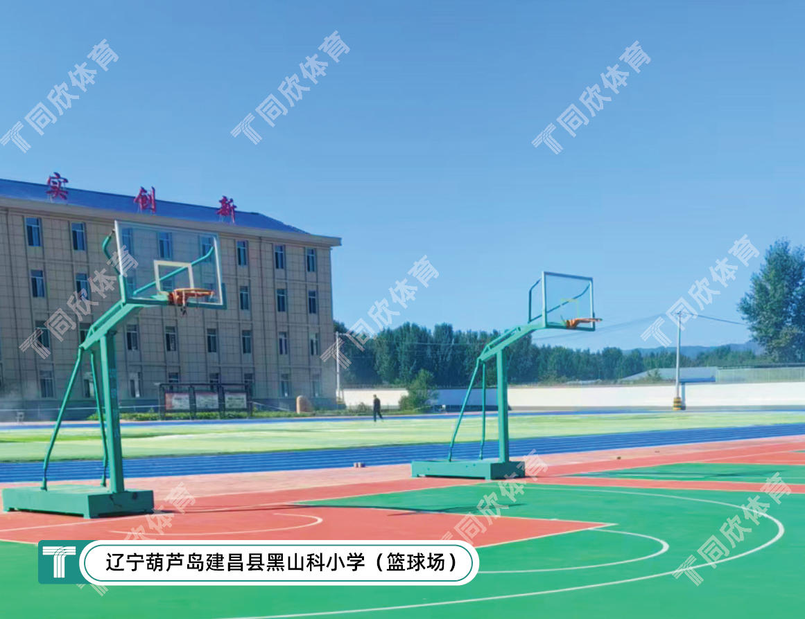 17648359730_462696001764835973