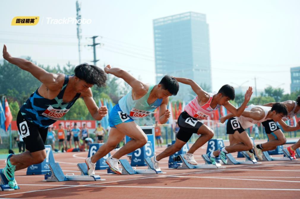 A16 GOPAY钱包官方网站 - 安全便捷的数字钱包与移动支付平台