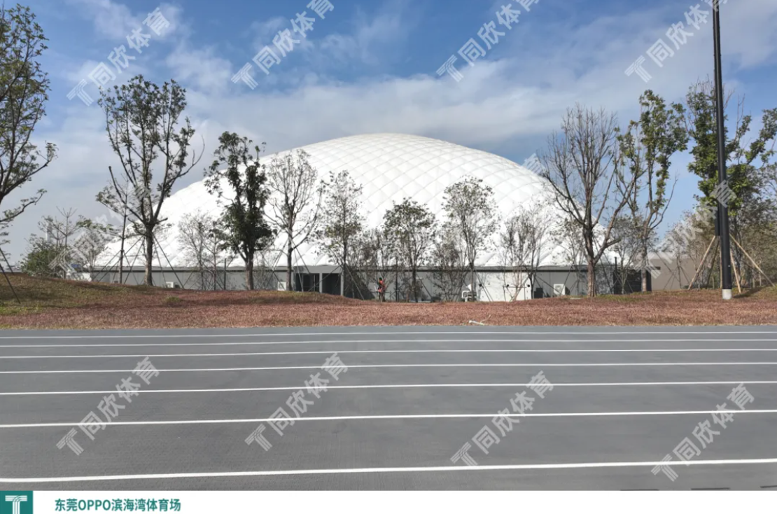 38 GOPAY钱包官方网站 - 安全便捷的数字钱包与移动支付平台